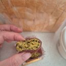 카페위드앤마카롱 이미지