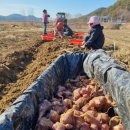 의령남강 이미지