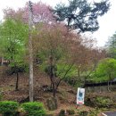 백봉갈비 이미지