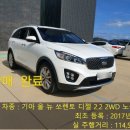 경동모터스 | 부산 중고차 수입차 추천 매입기아 올 뉴 쏘렌토 디젤 2.2 2WD 노블레스 .헤이딜러 경매 매입