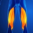 동대문튼튼의원 이미지