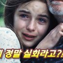 스필버그감독의 "war horse (군마)".. 이미지