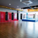 더 복싱(THE BOXING) 이미지