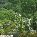 담양 달빛 스테이 이미지