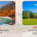 야구루트