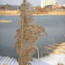 솔방1 이미지
