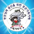 ✈명품공군✈🌟799기.동기방🌟2020년2월3일(월요일)💐봄의 문턱2월~💐 이미지