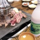 포레스트258 펜션 | 경주 넓고 쾌적한 애견동반펜션 포레스트258 / 베이글베이글러 / 황금알생오리숯불구이