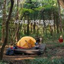 서귀포자연휴양림야영장 | 제주 서귀포자연휴양림 예약 (야영장 명당자리 D02) 백패킹 후기
