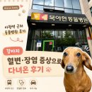 우리동물병원 | 아현역 동물병원 후기｜강아지 혈변 증상으로 장염 진료받은 기록