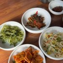 풍암생태야생태 이미지