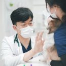 바른동물의료센터 이미지