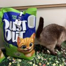 달과고양이 | [고양이] 쉬즈곤 먼지아웃 울트라 한달사용 후기(탈취력 갑)