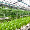 화악농장 이미지