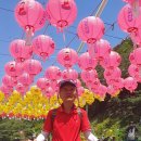 월리사 - 청주시 상당구 | 월리사
