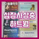 온누리강변프라자약국 이미지