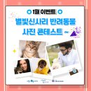 서원동-28 이미지