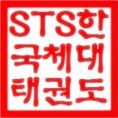 STS한국체대태권도 이미지