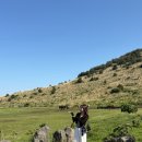 제주도 첫 혼자 여행! (5/17~19)