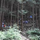 완주 편백숲 관광안내소 이미지