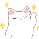 그루밍캣 압구정점 이미지