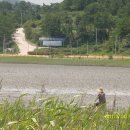 욕보할매집 이미지