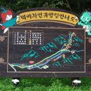 백야자연휴양림 이미지