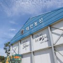 태안농산영농조합법인 이미지