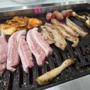 펫택시콜 | 펫택시 두리펫택시 후기 의왕>가평 왕복 이용/내돈내산