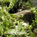 삼달2리 이미지