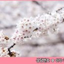 [자격증 취득과정] 인성교육지도사 이미지