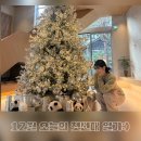 오느른 미 | 12월 오늘의 일기:) [1] 우리 밤은 너무 아름답고 그만큼 놓치기도 아쉬운데