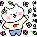 몽드드뚜뚜 이미지