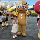 힐링뮤직마켓 | 8월 제주도 축제 제주 컬러풀산지 페스티벌 쿠키런 로컬어드벤처 아이와 가볼만한곳 후기