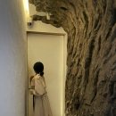 제스트(ZEST) 이미지