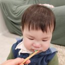 노아어린이집 | 닥터노아 유아대나무칫솔 내돈내산 구매후기 어린이집답례선물 신학기선물