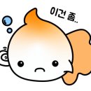 정우헤어 - 성남시 분당구 | 정우헤어