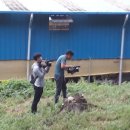 늘푸른흑염소2농장 이미지