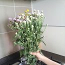 팔팔꽃화원