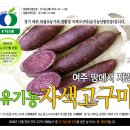 여주 유기농 고구마 판매합니다. 이미지