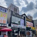 커피모모 - 거제시 읍내로 57 | 대포동 타로카페 추천, 커피도 맛있는 속초 로스팅카페 '모모의창가' 커플타로 후기