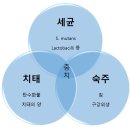 밝은e치과의원 이미지