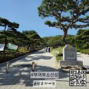 부소산성 | 삼천궁녀가 떨어졌다는 낙화암이 있는 &lt;부여 부소산성&gt; 방문자 여권 후기