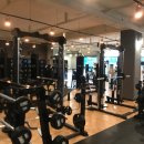 웰 휘트니스 이미지