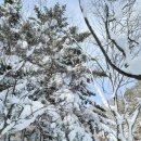 금별농장 이미지