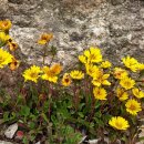 문경새재 생태미로공원 이미지