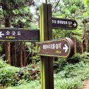 수망리 산마장 잣성 이미지