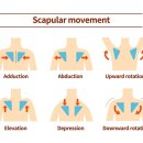 새론한방병원 이미지