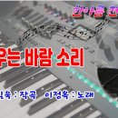 숨어우는 바람 소리/전자올겐 연주 이미지