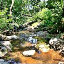 안성시 관광안내소 이미지